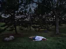 Hammerstiel-Dark_Picnic_01.jpg