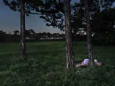 Hammerstiel-Dark_Picnic_04.jpg