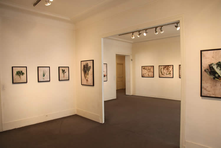 Hammerstiel - Ausstellungen