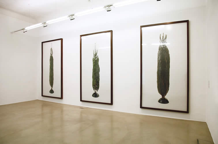 Hammerstiel - Ausstellungen