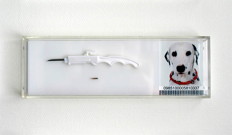 hammerstiel-transponder01b.jpg