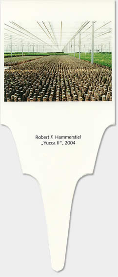 hammerstiel-yII04.jpg