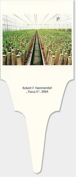 hammerstiel-yII05.jpg