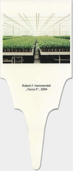 hammerstiel-yII06.jpg