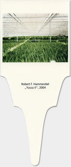hammerstiel-yII07.jpg