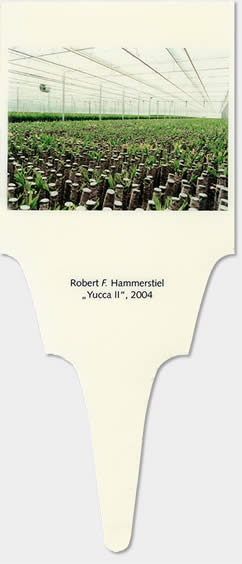 hammerstiel-yII08.jpg