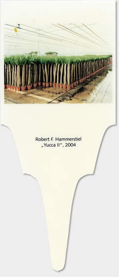 hammerstiel-yII09.jpg