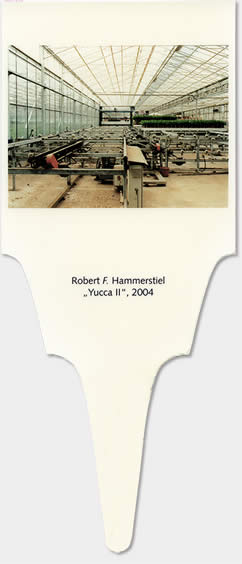 hammerstiel-yII10.jpg