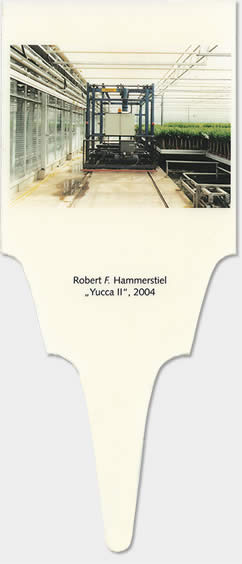 hammerstiel-yII11.jpg