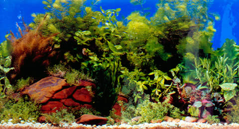 hammerstiel-Lagune-12.jpg