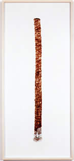 Hammerstiel-Yucca1.jpg