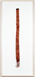 Hammerstiel-Yucca3.jpg
