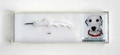 hammerstiel-transponder01.jpg